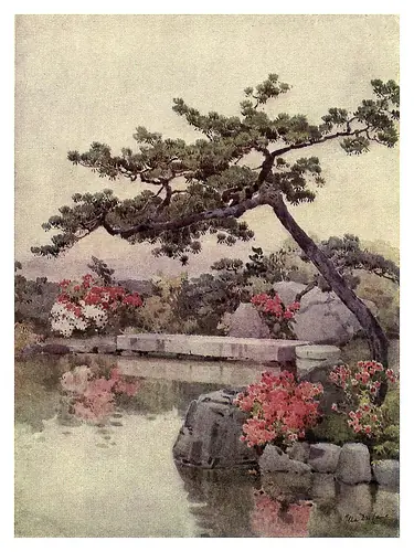 las flores y jardines de japon :Cane