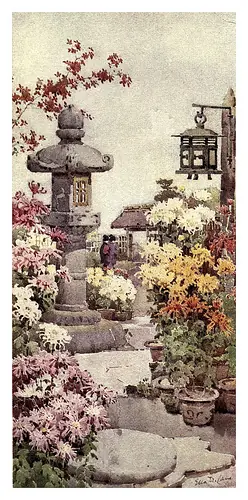 las flores y jardines de japon :Cane
