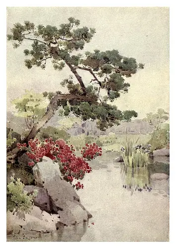 japoneses
