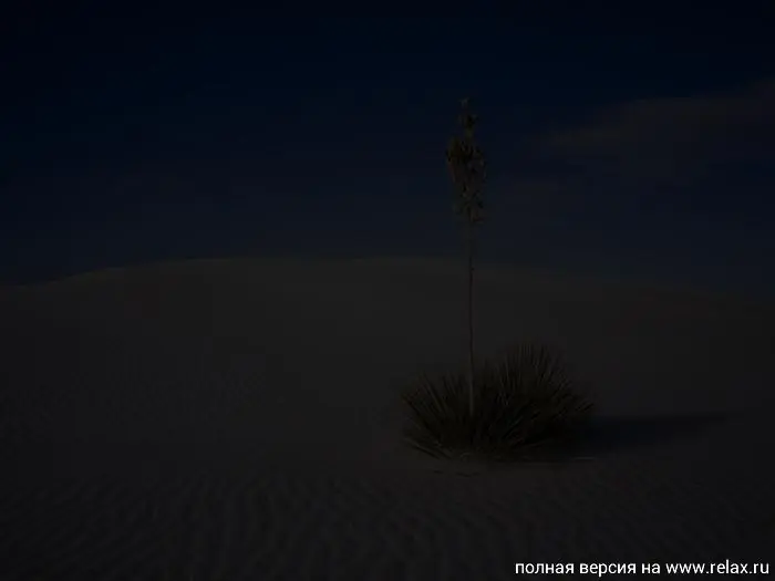 Imagenes Flasheras Parte 3 :)