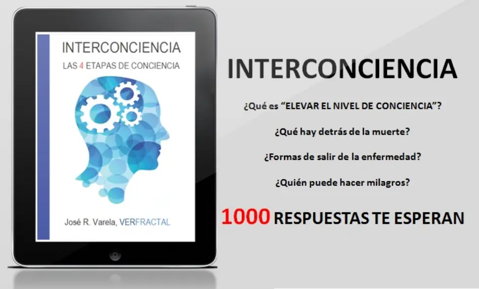 Las 4 Etapas de Conciencia