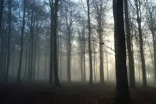 the