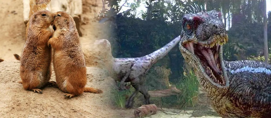 evolucion