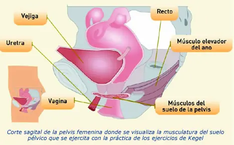 como hackear tu cuerpo 2