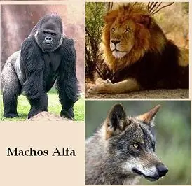 Hagamos Top al Día mas importante del año (19 Noviembre).
