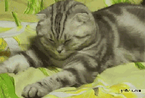 Momentos de tu vida diaria [Gifs]