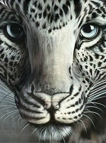 imagenes