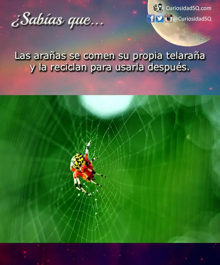 ¿Sabias Que?