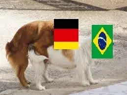 Fail Brasil - Alemania 7 - 1