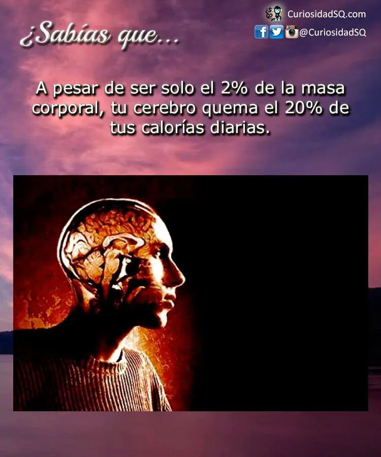 curiosidades