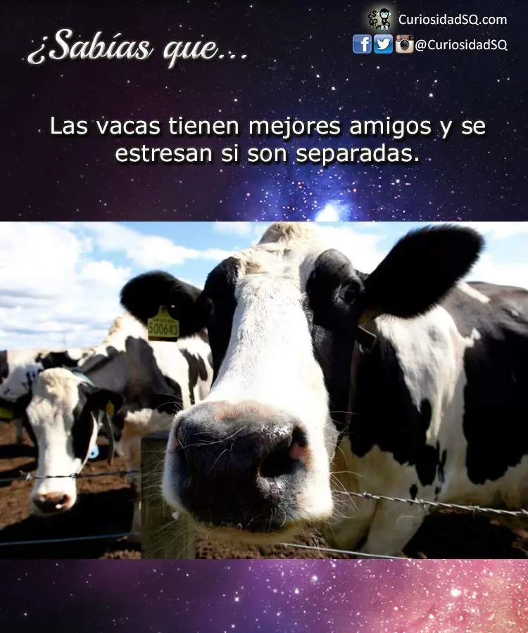 info
