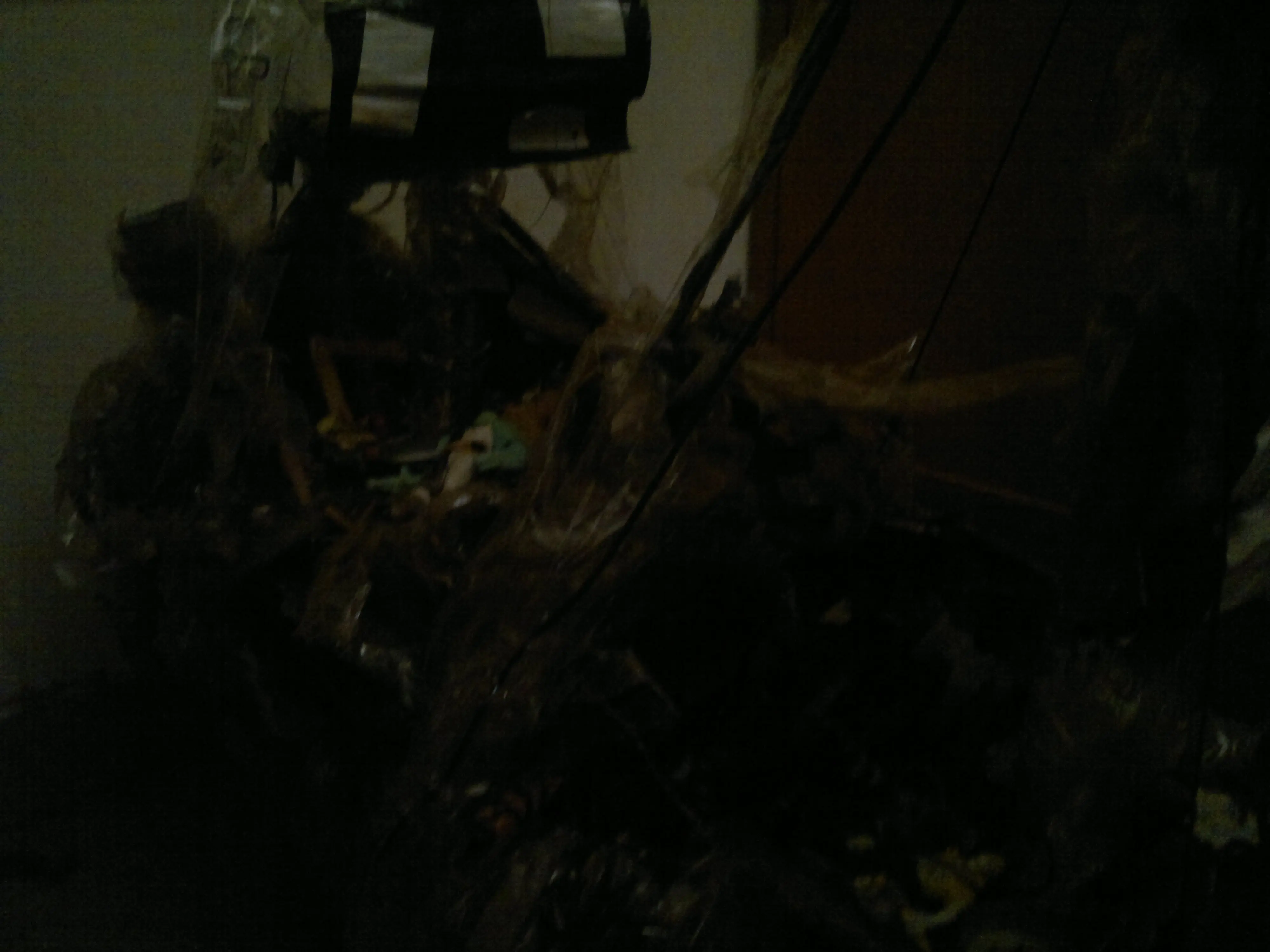 la virguez en su máxima expresión