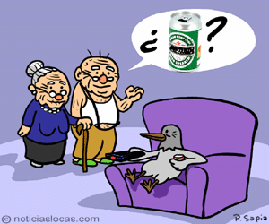 zoo
