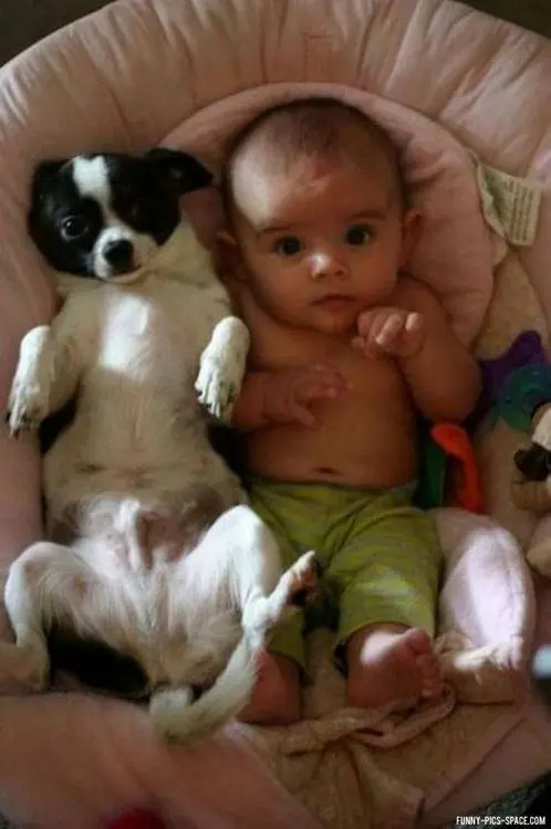 imagenes