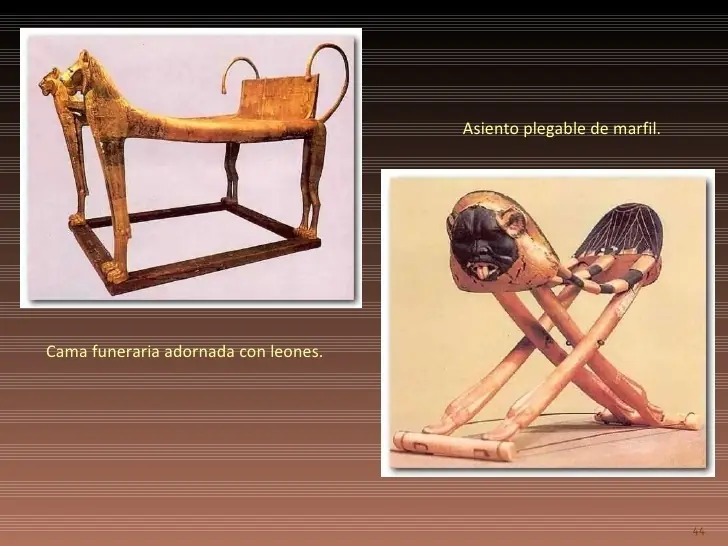 Tutankamón:El faraón,su tumba y su tesoro.