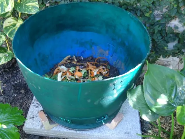 lumbricario