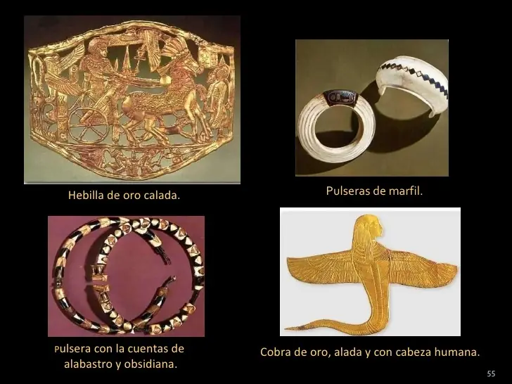Tutankamón:El faraón,su tumba y su tesoro.