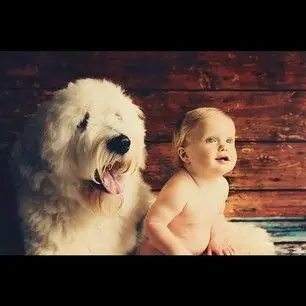+6 si alguno te parece gracioso.