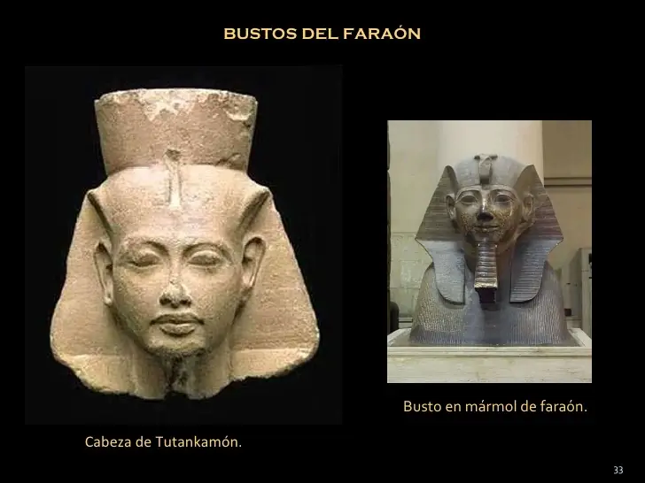 Tutankamón:El faraón,su tumba y su tesoro.