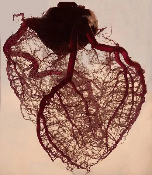 medicina