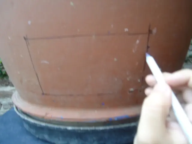 lumbricario