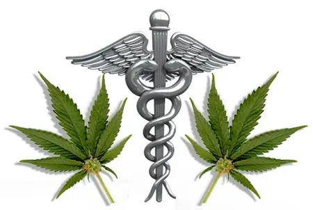 Marihuana: Argumentos a favor de la legalización.
