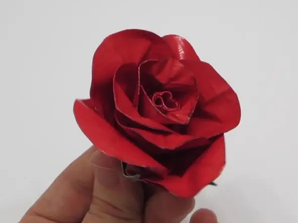 Rosa