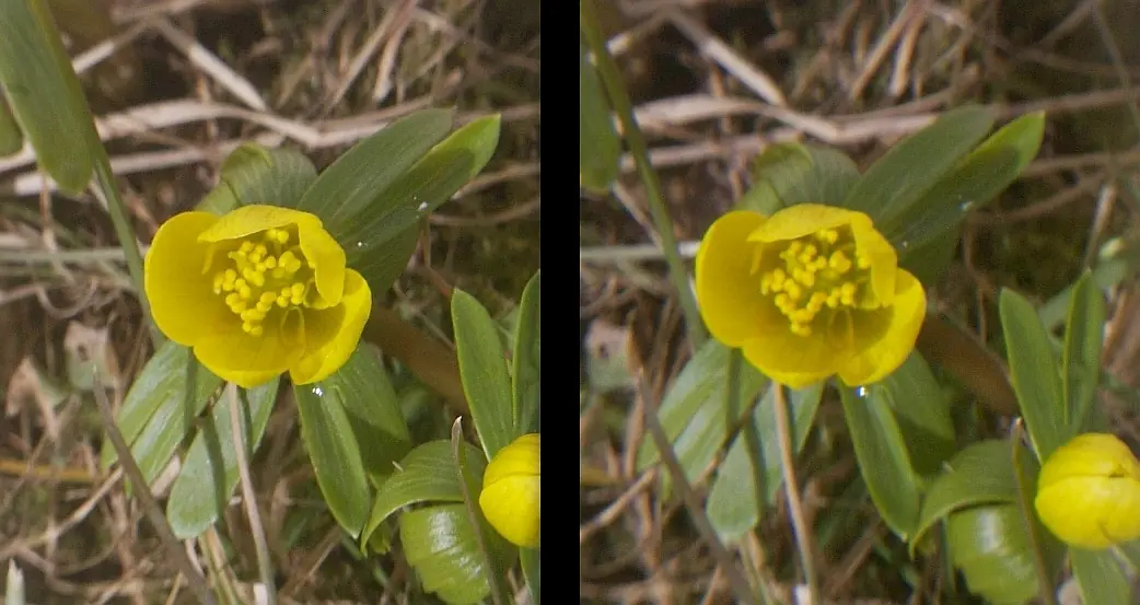 muy