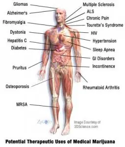 Cannabis, informate