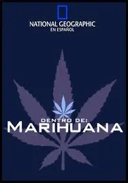 cannabis