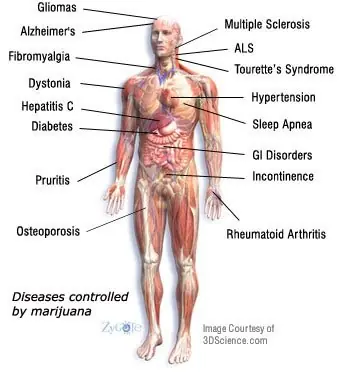 Cannabis, informate