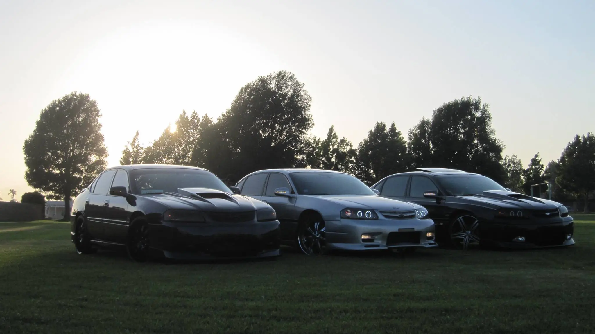 Imagenes Del Impala