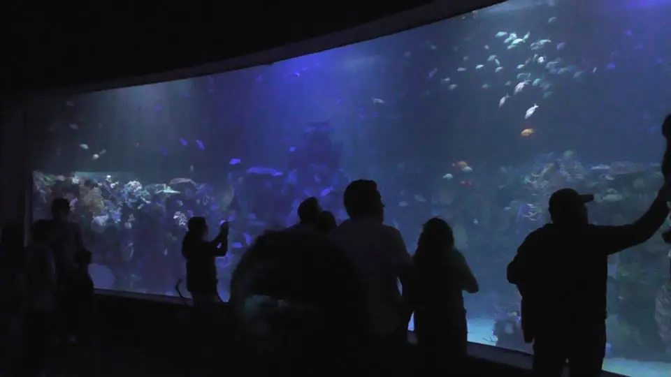 Acuario en Ciudad de México