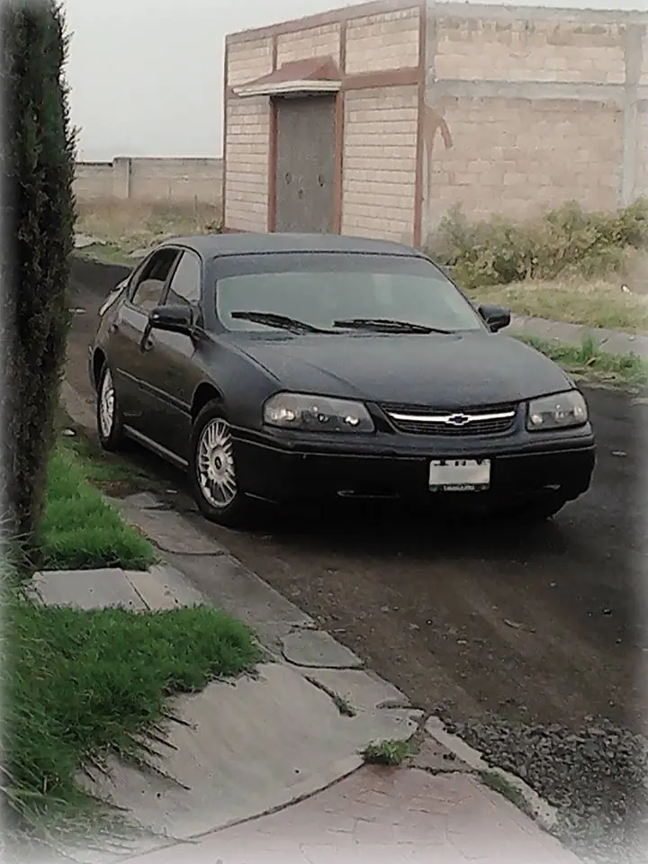 impala