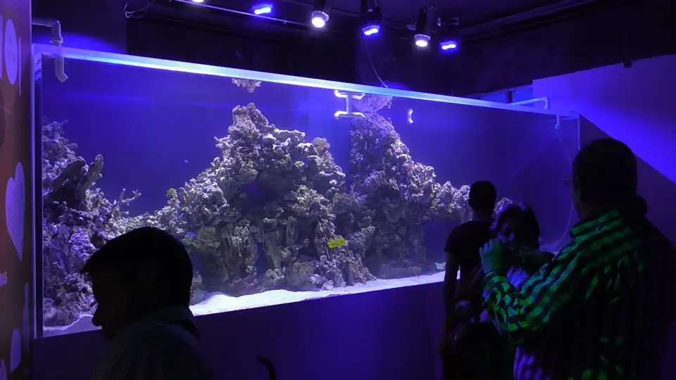 acuario inbursa