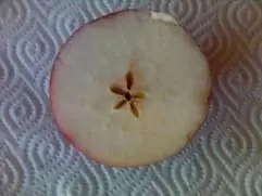 naturaleza cuiriosidades