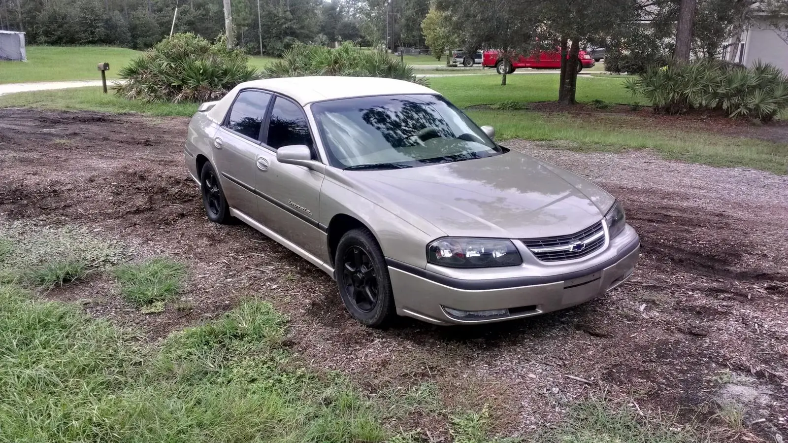 Imagenes Impala 2000