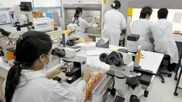 Crean un gel que impide la transmisión del VIH