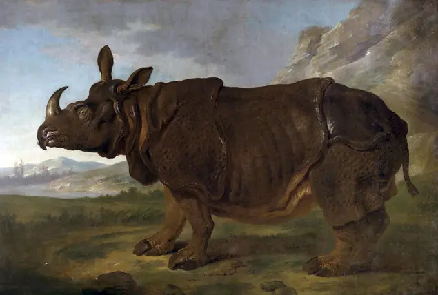 rinocerontologia