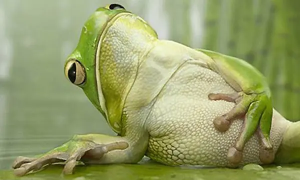 naturaleza cuiriosidades