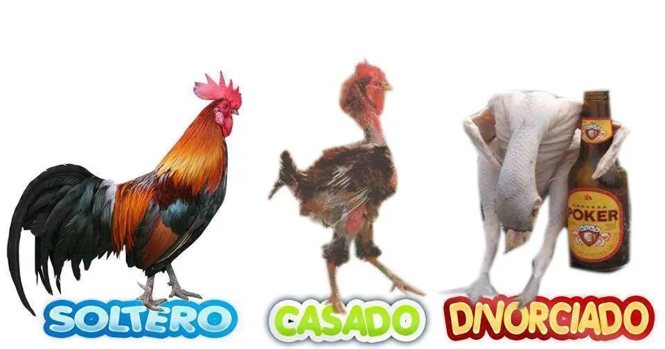 humor