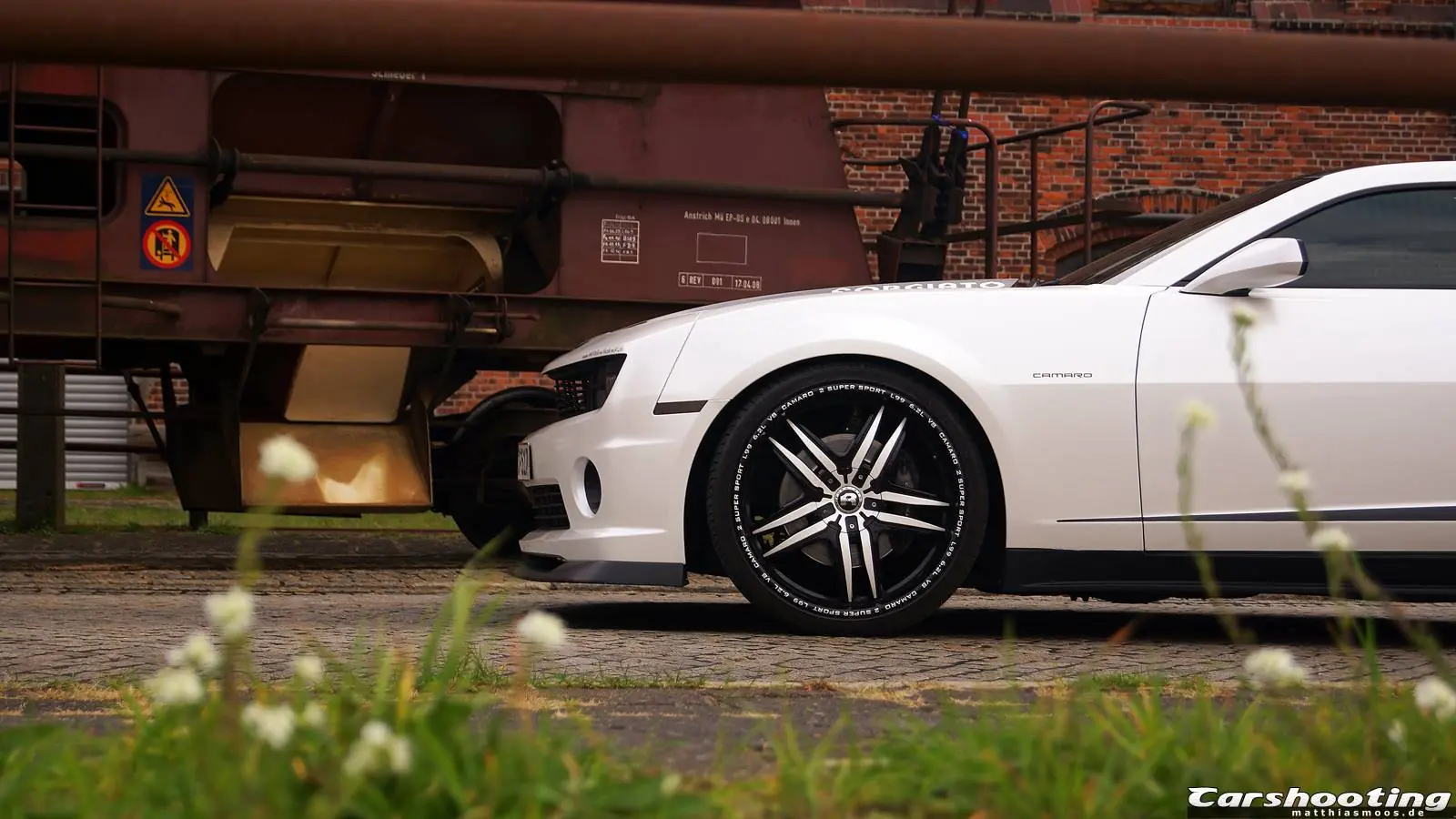 Muscle Cars
