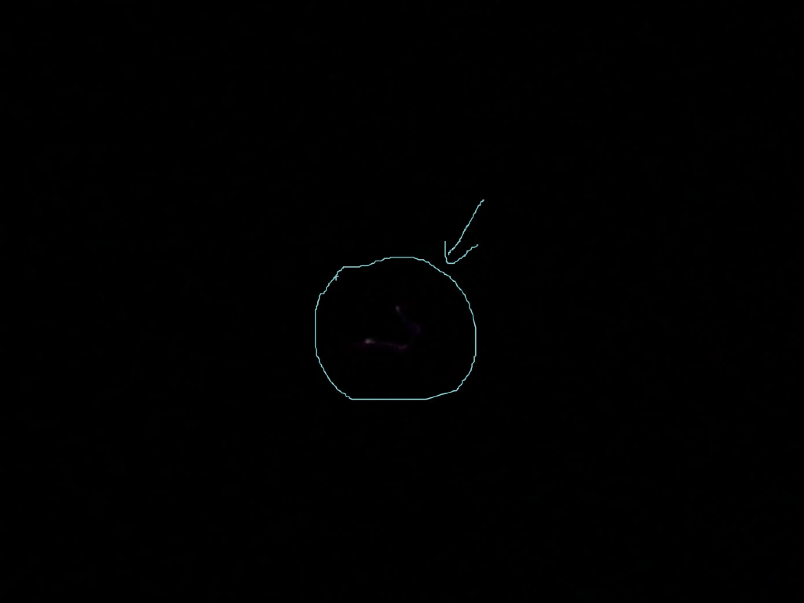 ovnis? ustedes que dicen