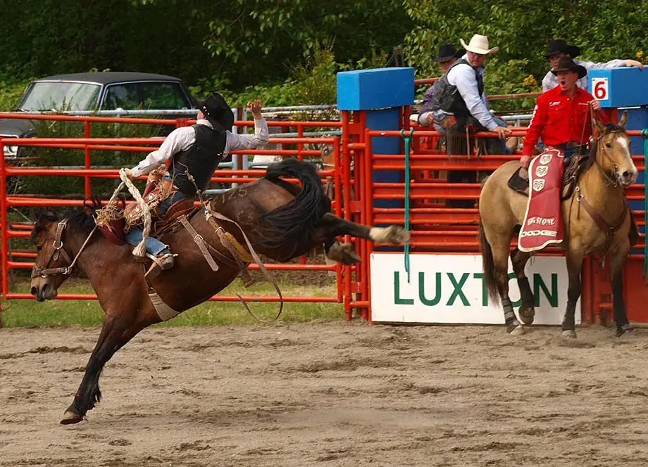 Vaqueros