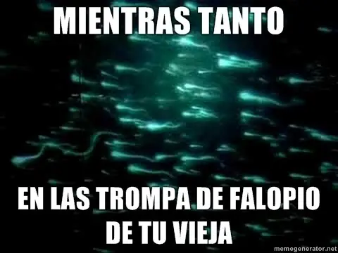 Nuevos Memes Chuck Norris, Sad Keanu Reeves, Mientras tanto