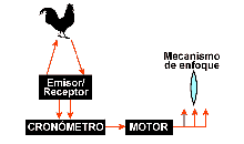 Camara