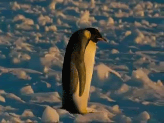 Megapost de fails (gifs)