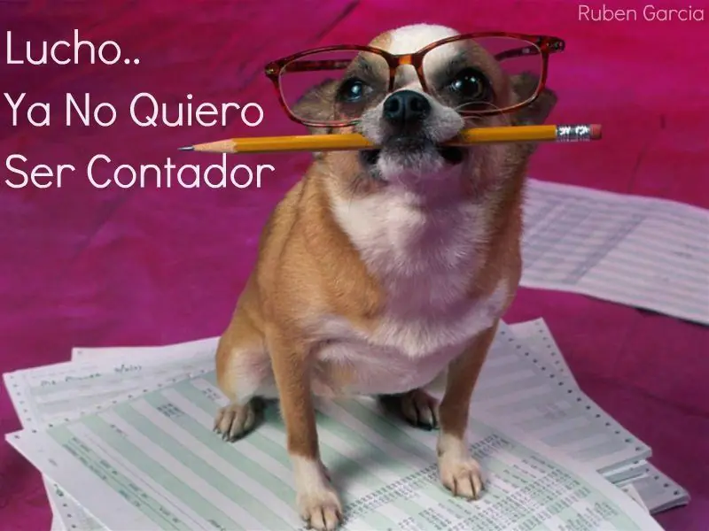 lucho