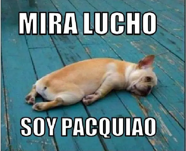 humor