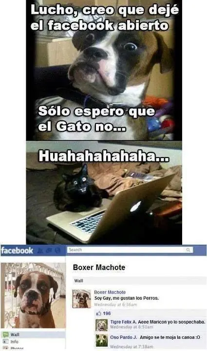humor